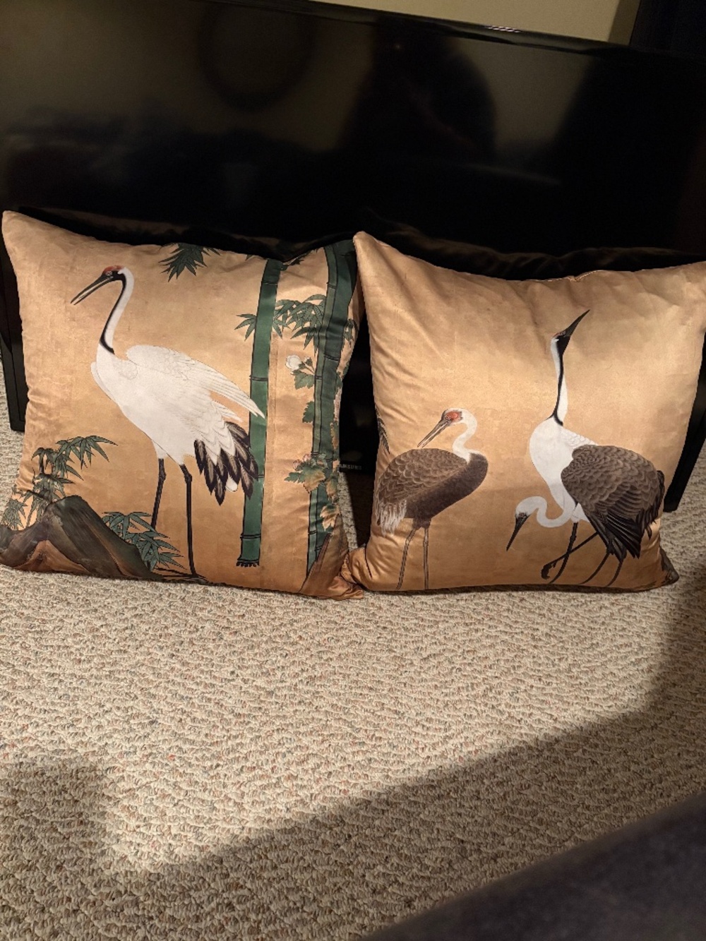Two beautiful silk pillows featuring that can be washed. 22 "x 22"